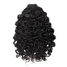 Burmese Curly